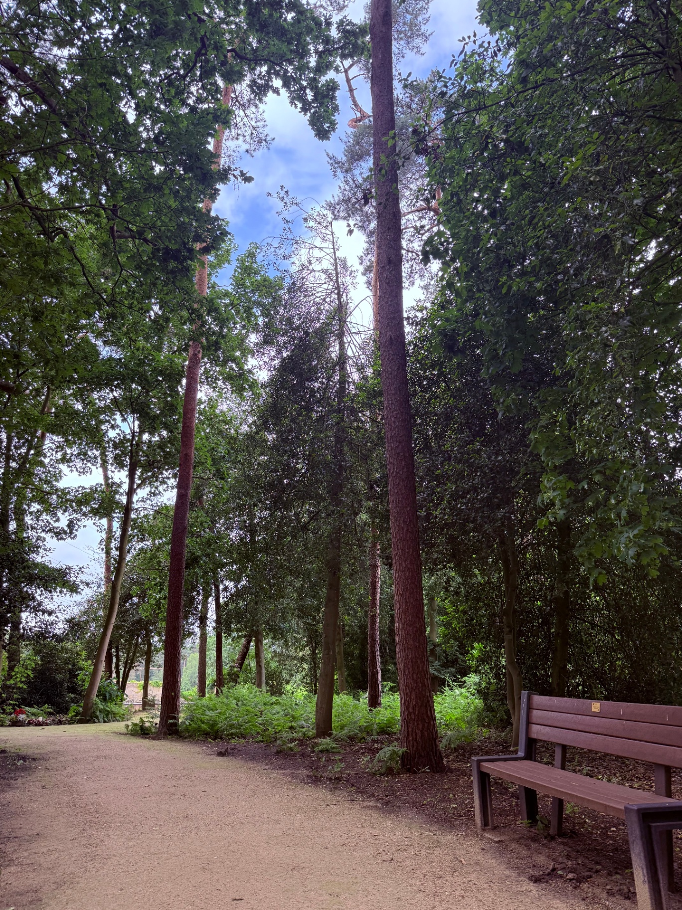 Waldfriedhof St Arnold 1