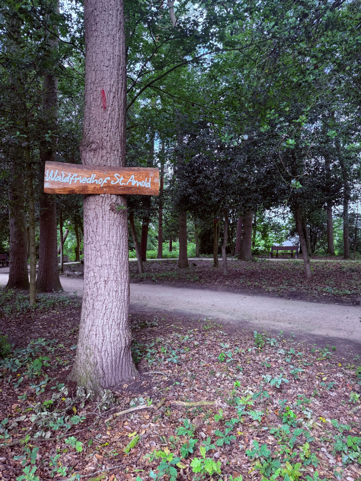 Waldfriedhof St Arnold 2