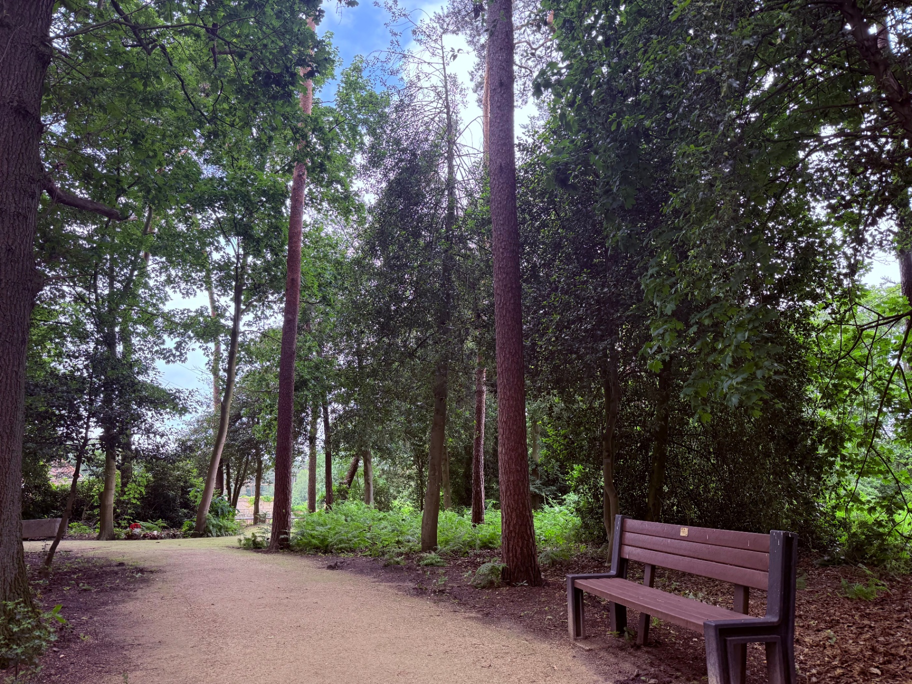 Waldfriedhof St Arnold 3